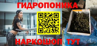 тгк Владивосток